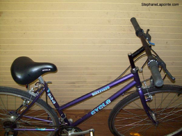 Vélo Cyclo Boulevard - StephaneLapointe.com