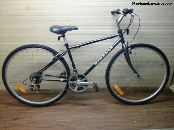 Vélo Minelli Promenade - StephaneLapointe.com