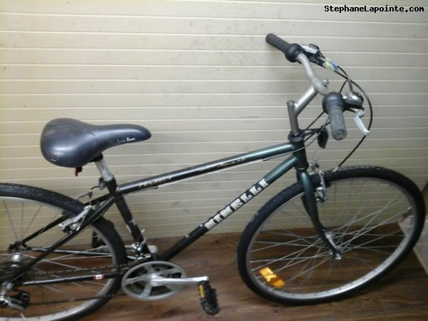 Vélo Minelli Promenade - StephaneLapointe.com