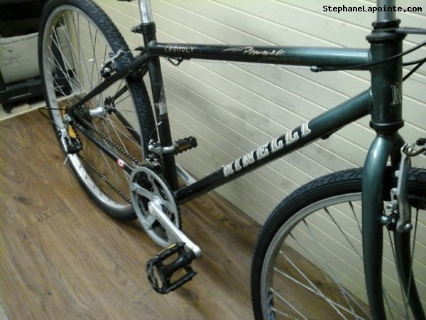 Vélo Minelli Promenade - StephaneLapointe.com