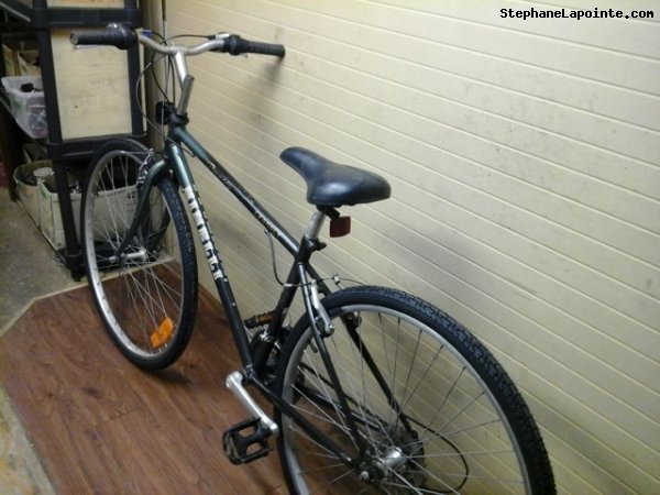Vélo Minelli Promenade - StephaneLapointe.com