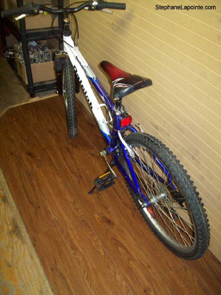 Vélo Raleigh Ambush - StephaneLapointe.com