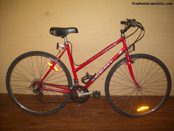 Vélo CCM H440 - StephaneLapointe.com