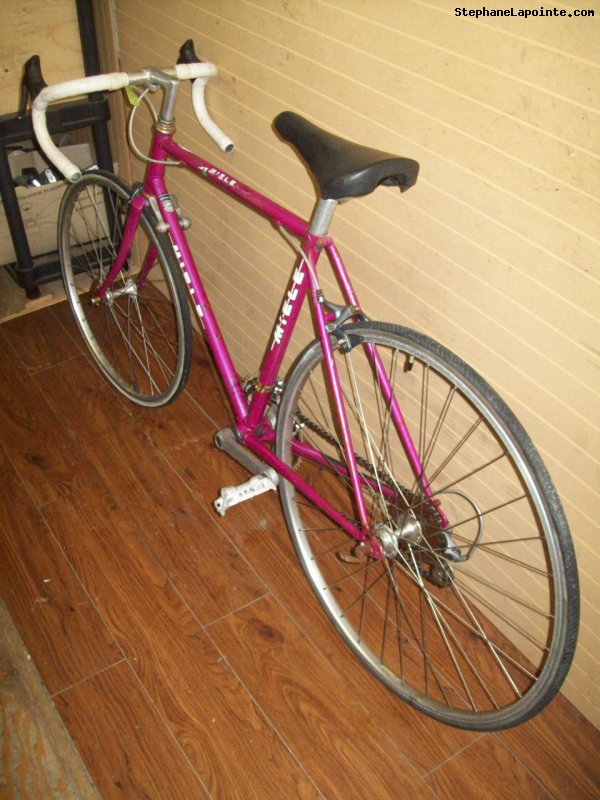 Vélo Miele Doral - StephaneLapointe.com