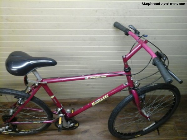 Vélo Bonelli Mont Ste-Anne - StephaneLapointe.com