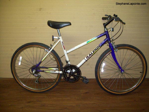 Vélo Raleigh Matter Horn - StephaneLapointe.com
