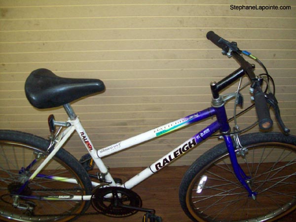 Vélo Raleigh Matter Horn - StephaneLapointe.com