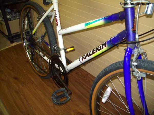 Vélo Raleigh Matter Horn - StephaneLapointe.com