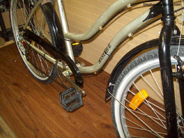 Vélo Triumph Mystique - StephaneLapointe.com