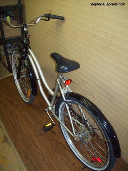 Vélo Triumph Mystique - StephaneLapointe.com