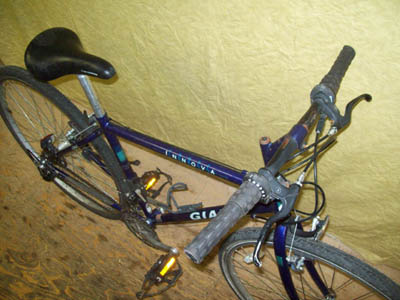 Vélo Giant Innova Cross - StephaneLapointe.com