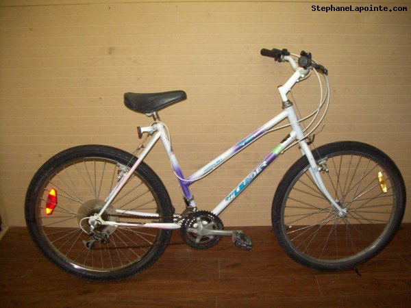 Vélo Leader LE 60746 - StephaneLapointe.com