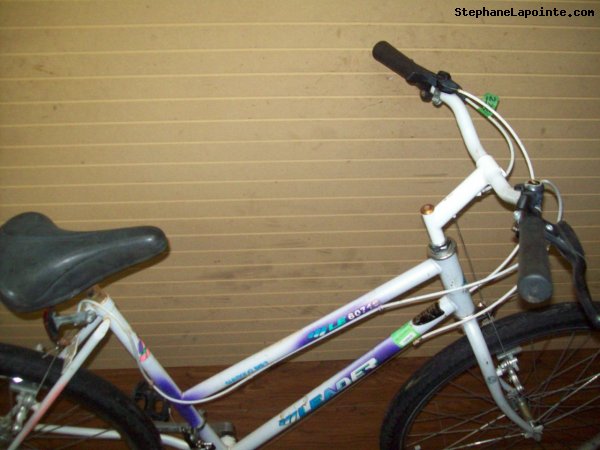 Vélo Leader LE 60746 - StephaneLapointe.com