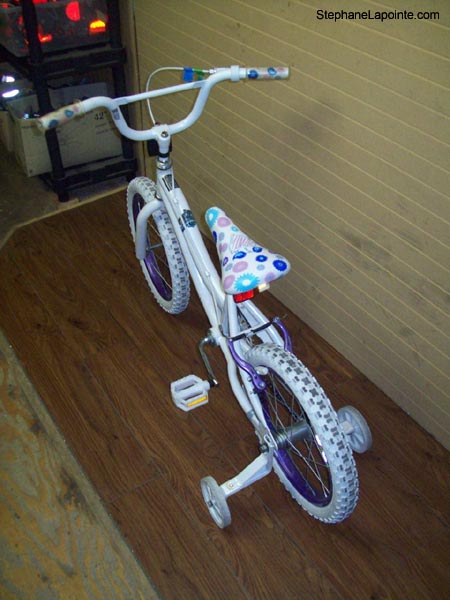 Vélo Next  - StephaneLapointe.com