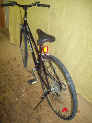 Vélo Leader LE 70741 - StephaneLapointe.com