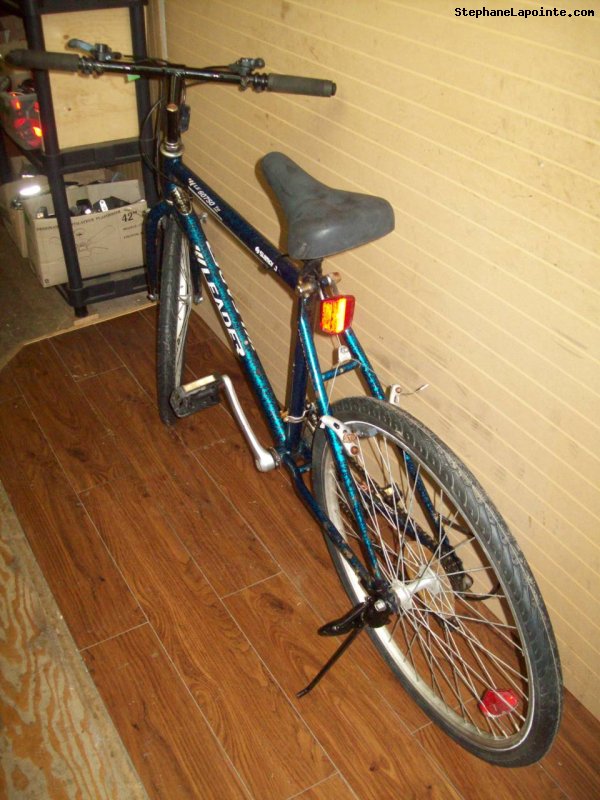 Vélo Leader LE 60750 - StephaneLapointe.com