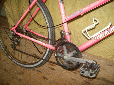 Vélo Leader LE 60741 - StephaneLapointe.com
