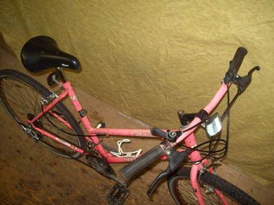 Vélo Leader LE 60741 - StephaneLapointe.com
