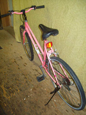 Vélo Leader LE 60741 - StephaneLapointe.com