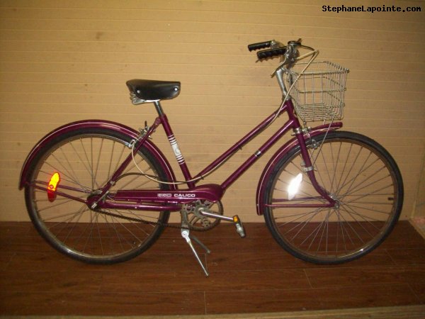 Vélo CCM Calico - StephaneLapointe.com