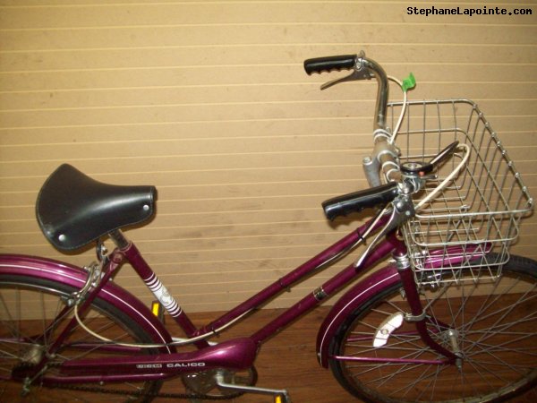 Vélo CCM Calico - StephaneLapointe.com
