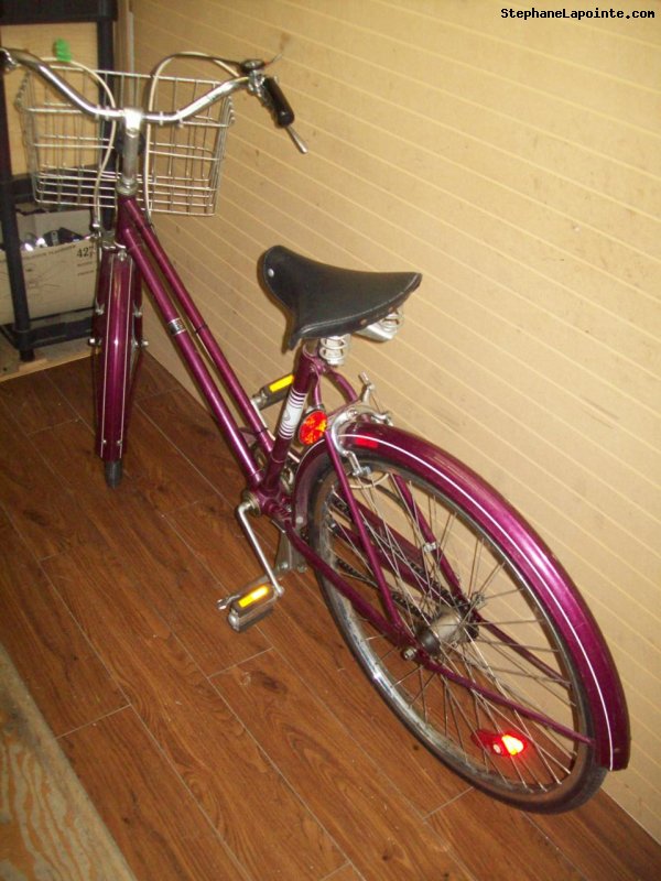 Vélo CCM Calico - StephaneLapointe.com