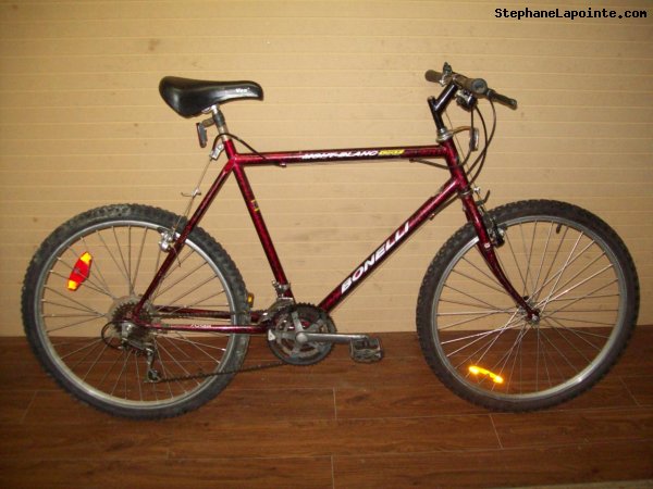 Vélo Bonelli Mont-Blanc - StephaneLapointe.com