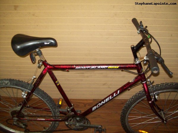 Vélo Bonelli Mont-Blanc - StephaneLapointe.com