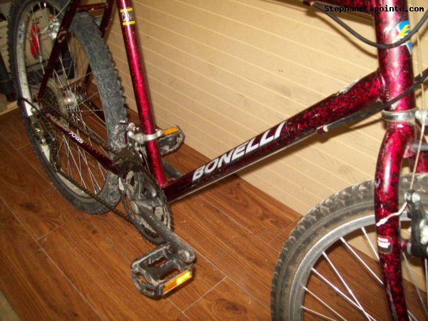 Vélo Bonelli Mont-Blanc - StephaneLapointe.com