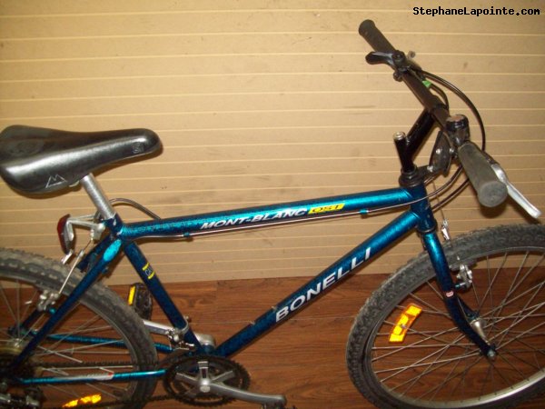 Vélo Bonelli Mont-Blanc - StephaneLapointe.com
