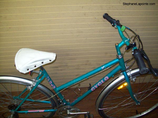 Vélo Cyclo Avenue - StephaneLapointe.com
