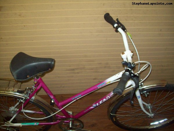 Vélo Leader LE 60706 - StephaneLapointe.com