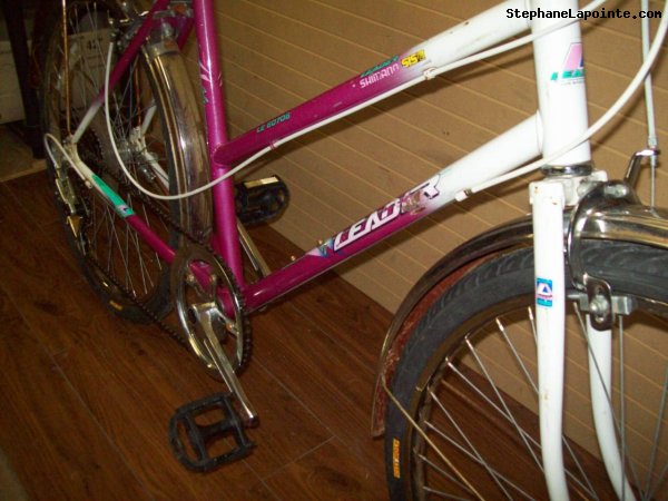 Vélo Leader LE 60706 - StephaneLapointe.com