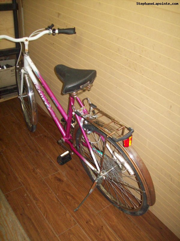 Vélo Leader LE 60706 - StephaneLapointe.com