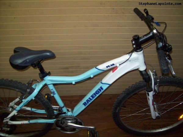 Vélo Raleigh Peak - StephaneLapointe.com