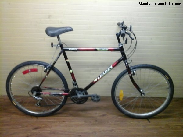 Vélo Leader LE 60740 - StephaneLapointe.com