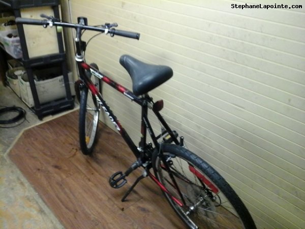 Vélo Leader LE 60740 - StephaneLapointe.com