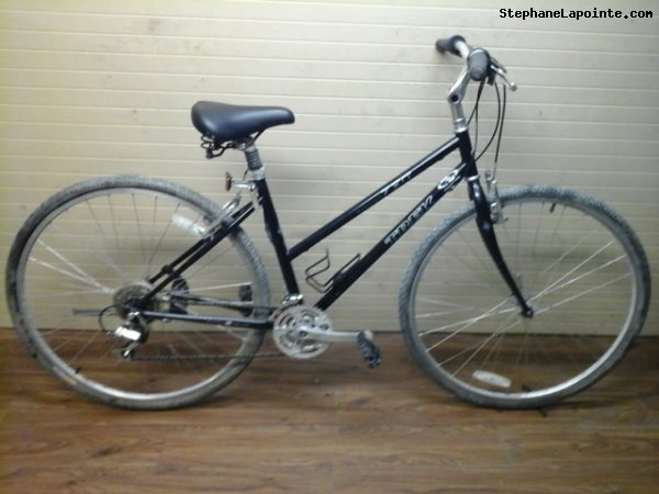 Vélo Trek 730 multitrack - StephaneLapointe.com