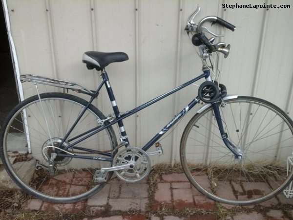 Vélo Raleigh Challenger - StephaneLapointe.com