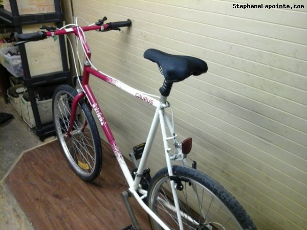 Vélo Steve Bauer Caurus - StephaneLapointe.com