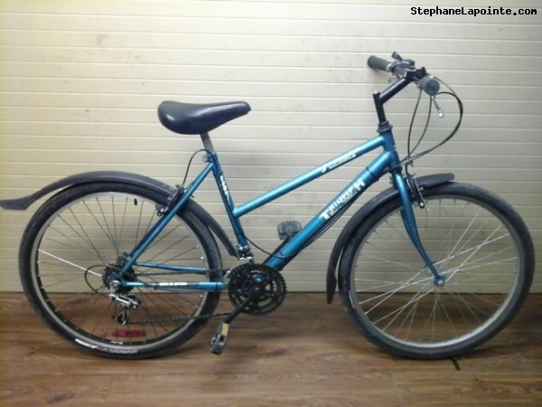 Vélo Triumph Vertical DX - StephaneLapointe.com