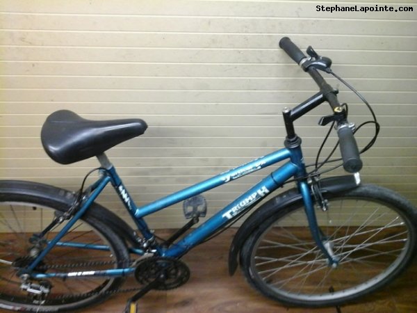 Vélo Triumph Vertical DX - StephaneLapointe.com