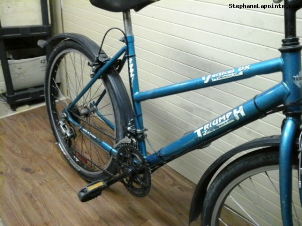 Vélo Triumph Vertical DX - StephaneLapointe.com