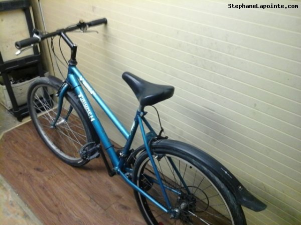 Vélo Triumph Vertical DX - StephaneLapointe.com