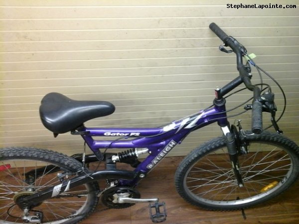 Vélo Raleigh Gator FS - StephaneLapointe.com