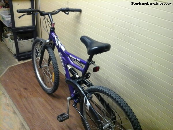 Vélo Raleigh Gator FS - StephaneLapointe.com