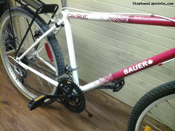 Vélo Steve Bauer Caurus - StephaneLapointe.com