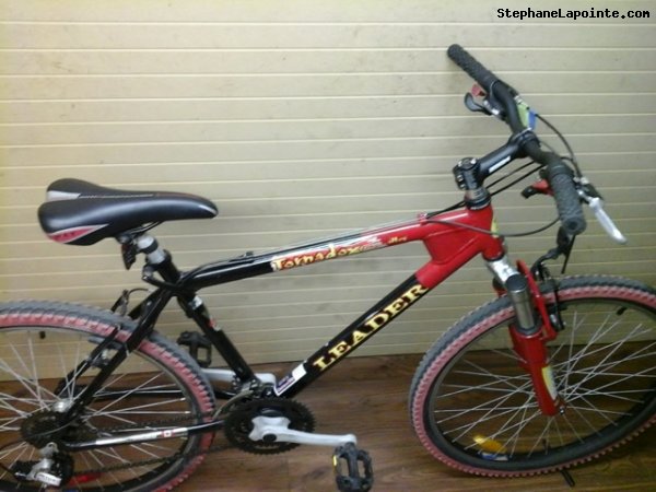 Vélo Leader Tornado Extreme - StephaneLapointe.com