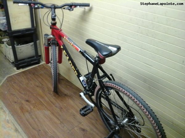 Vélo Leader Tornado Extreme - StephaneLapointe.com