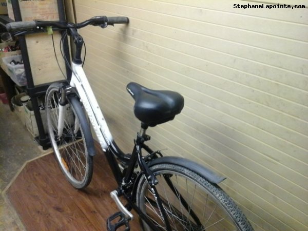 Vélo Minelli Silhouette - StephaneLapointe.com